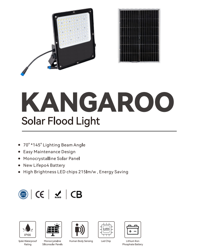 40w solar flood light